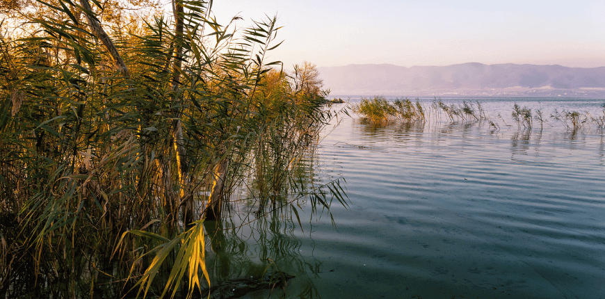autumn destinations near Thessaloniki-lake volvi-Greek transfer services