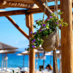 Discover the Best Beaches Near Thessaloniki | Greek Transfer Services