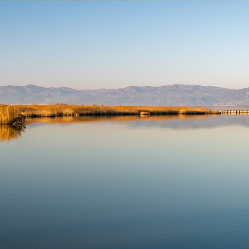 Day Tour to Vistonida Lake Greek Transfer Services