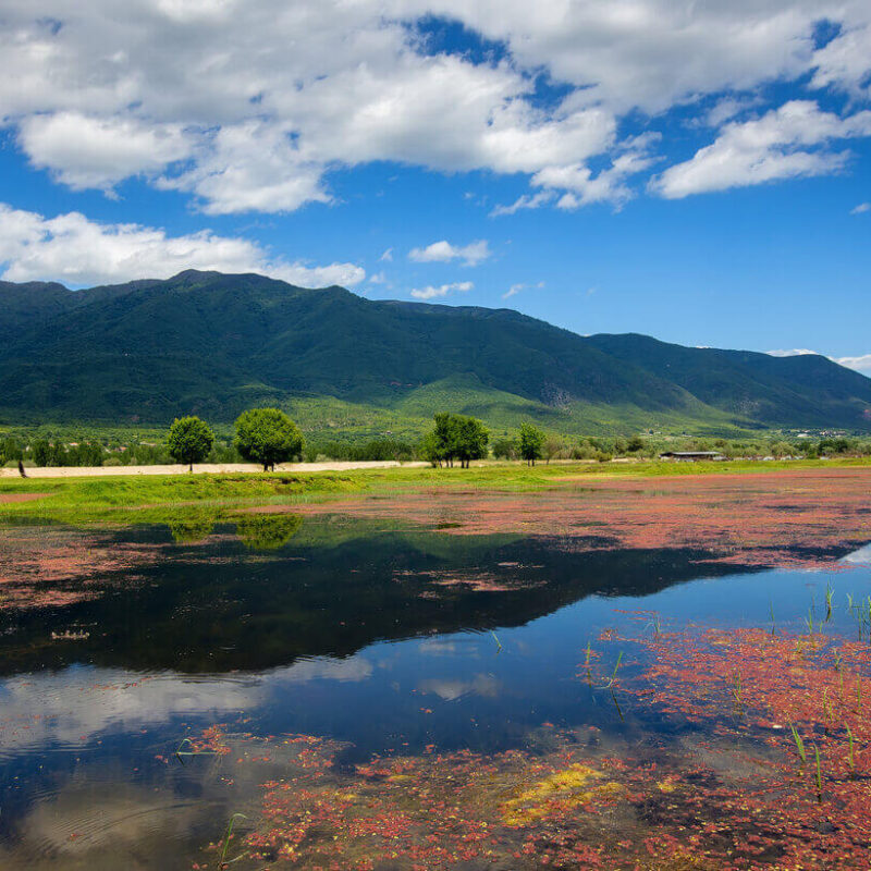 Lake Kerkini Greek Transfer Services