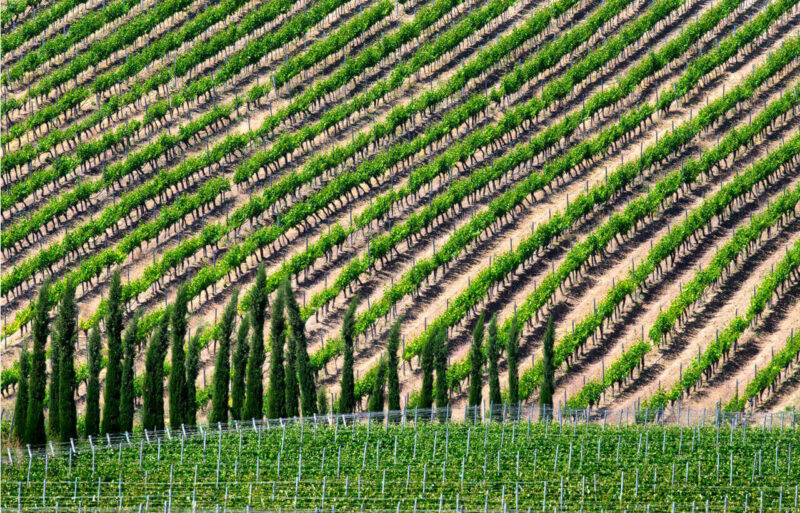 Wine Tour Ktima Gerovassiliou Greek Transfer Services